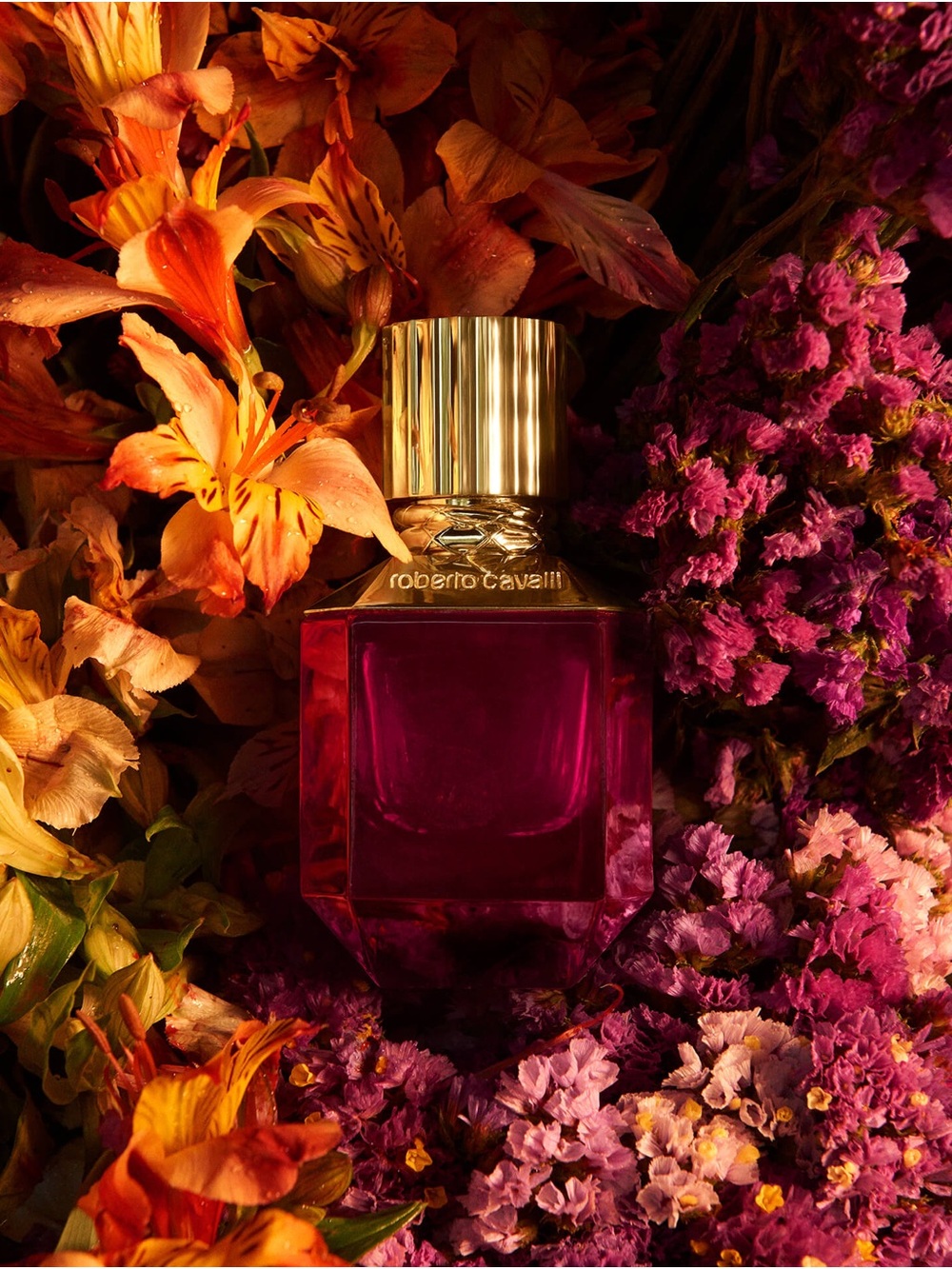 Roberto Cavalli - Paradise Found